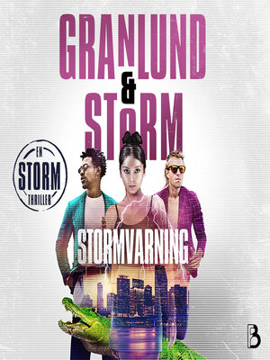 cover image of Stormvarning